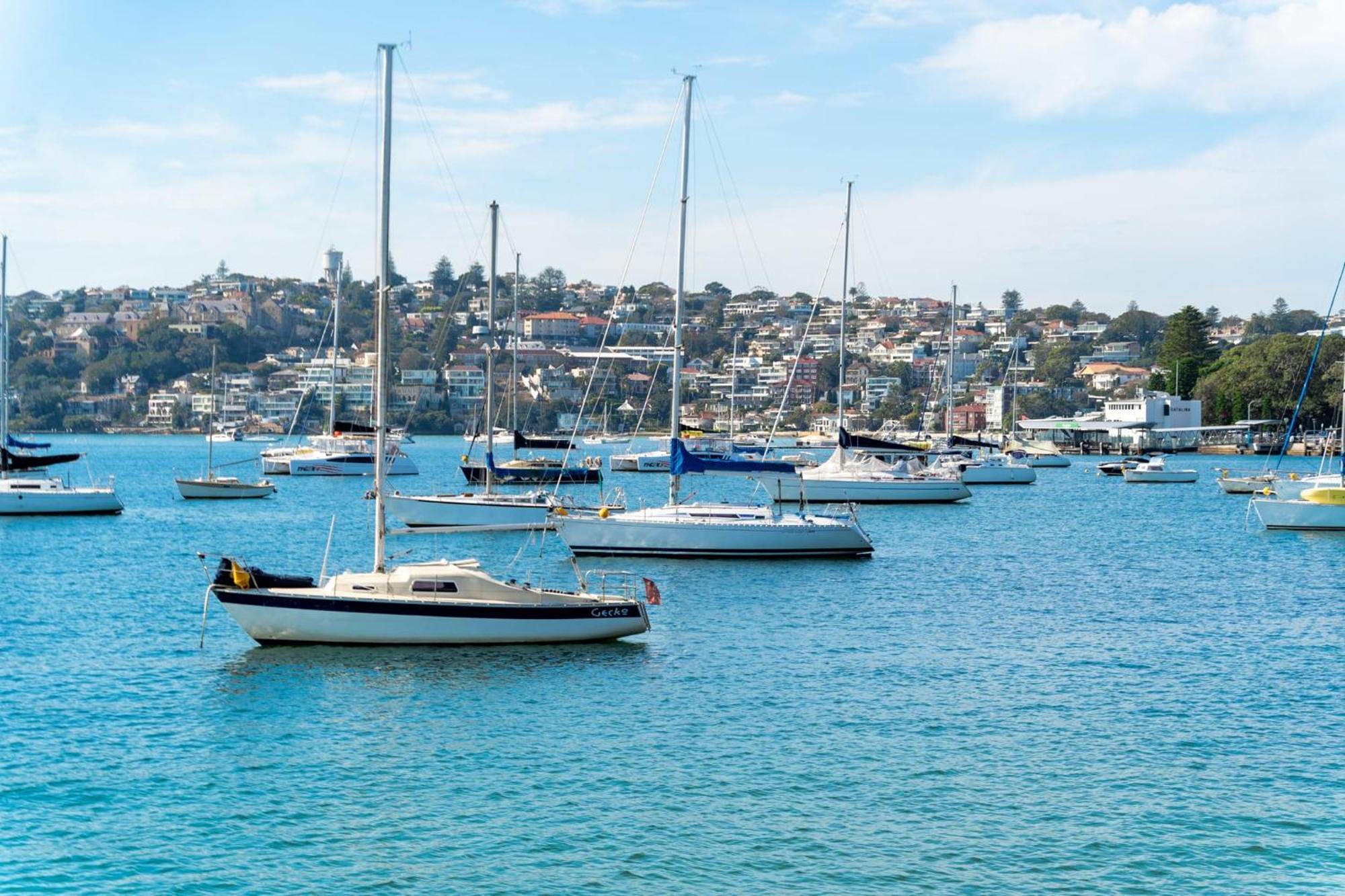 Apartment Pet-friendly Just Minutes From Bondi *