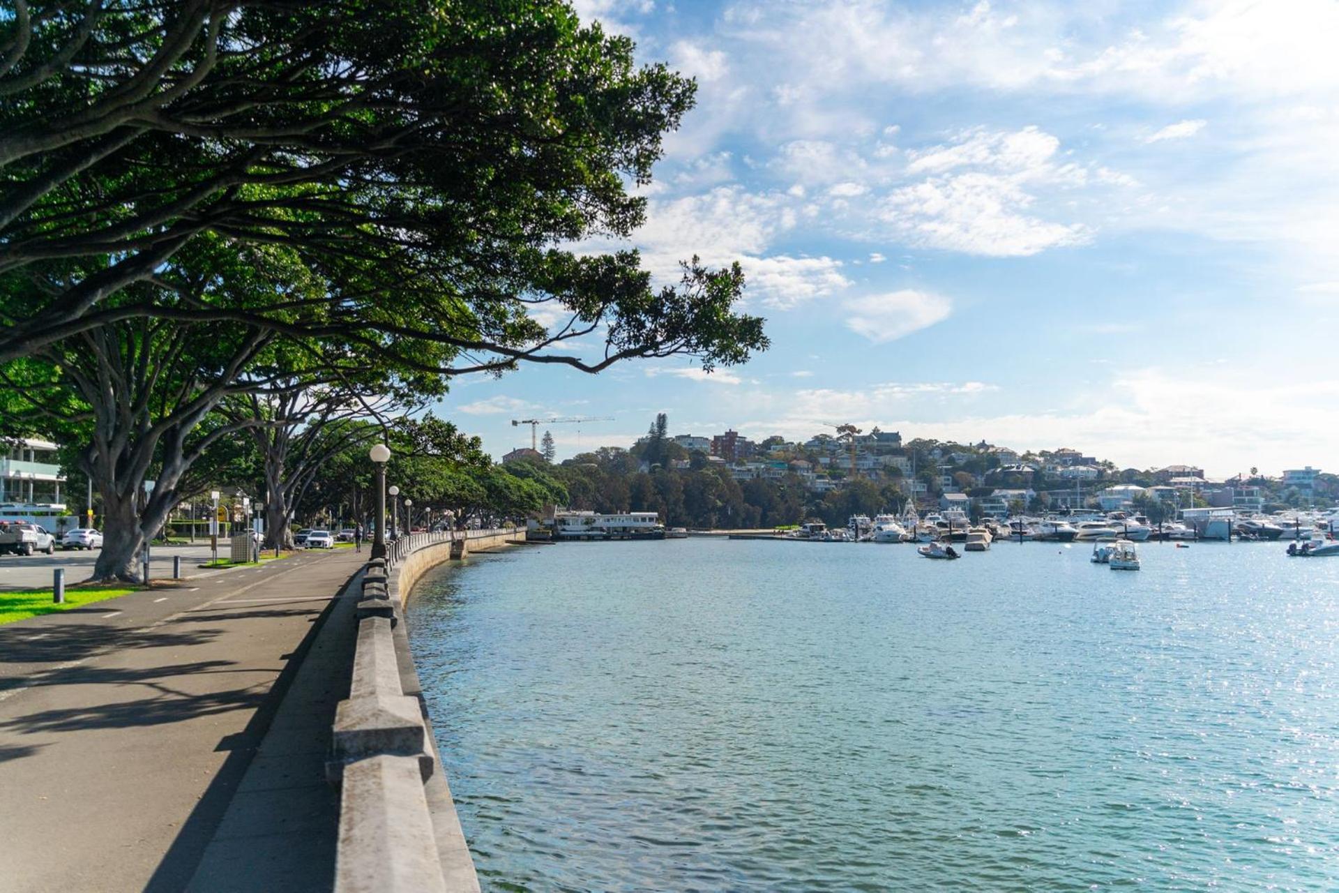 Pet-friendly Just Minutes From Bondi Sydney